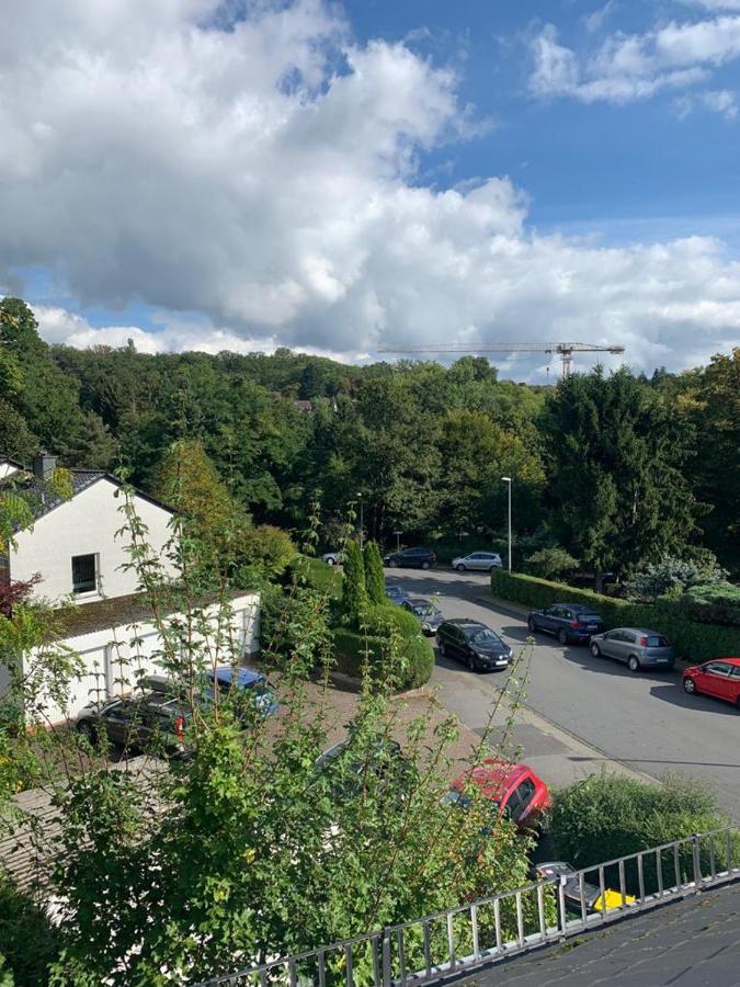 Wohnung Mit Einer Sauna Direkt Am Park Wiesbaden Buitenkant foto
